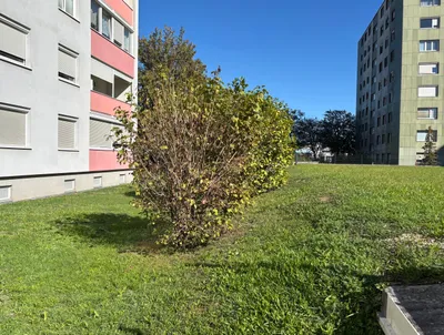 3-Zimmer-Wohnung kaufen in Wels – 88 m², € 235.000 – Bild 28 von 33