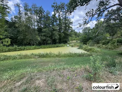 7-Zimmer-Immobilie kaufen in Hartberg-Fürstenfeld – 500 m², € 4.350.000 – Bild 12 von 12
