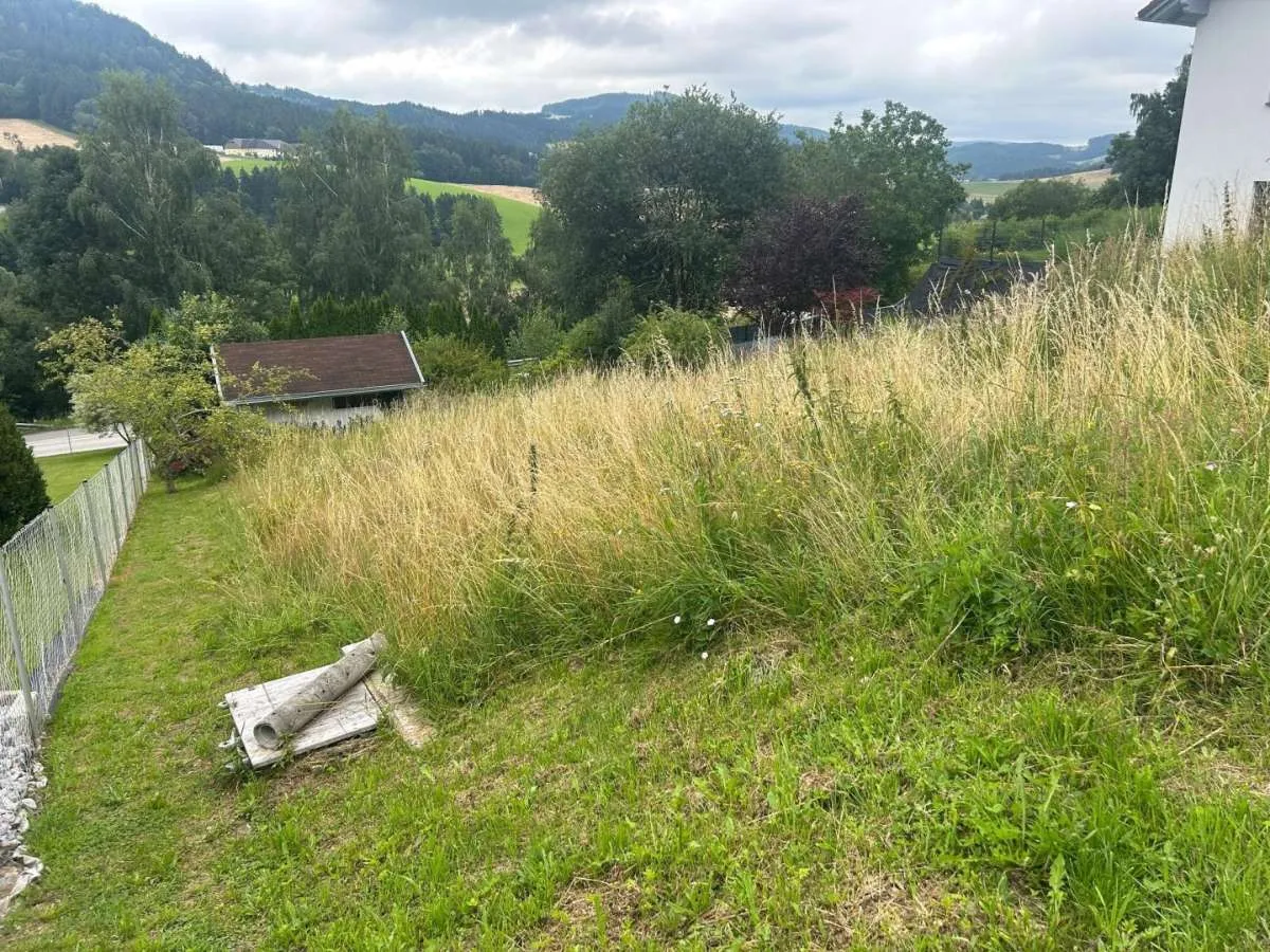 Grundstück, günstig mit W Widmung für Ihren Wohntraum in er Grubdorf Siedlung PROVISONSFREI - Ansicht 2