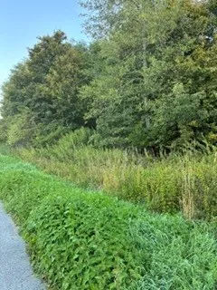 Grundstück kaufen in Güssing – 4 394 m², € 307.580 – Bild 2 von 5