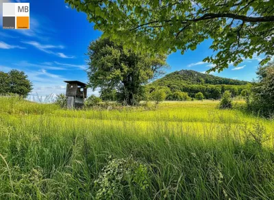Grundstück kaufen in Baden – 1 330 m², € 490.000 – Bild 2 von 26