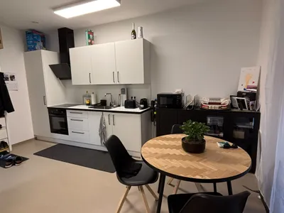 1-Zimmer-Wohnung mieten in Linz Land – 30 m², € 490 – Bild 3 von 9