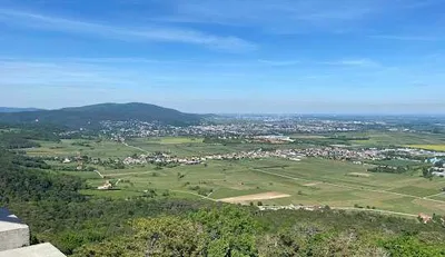 Grundstück kaufen in Baden – 249 m², € 179.000 – Bild 11 von 11