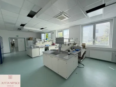 25-Zimmer-Immobilie mieten in Baden – 1 363 m², € 19.410 – Bild 9 von 17