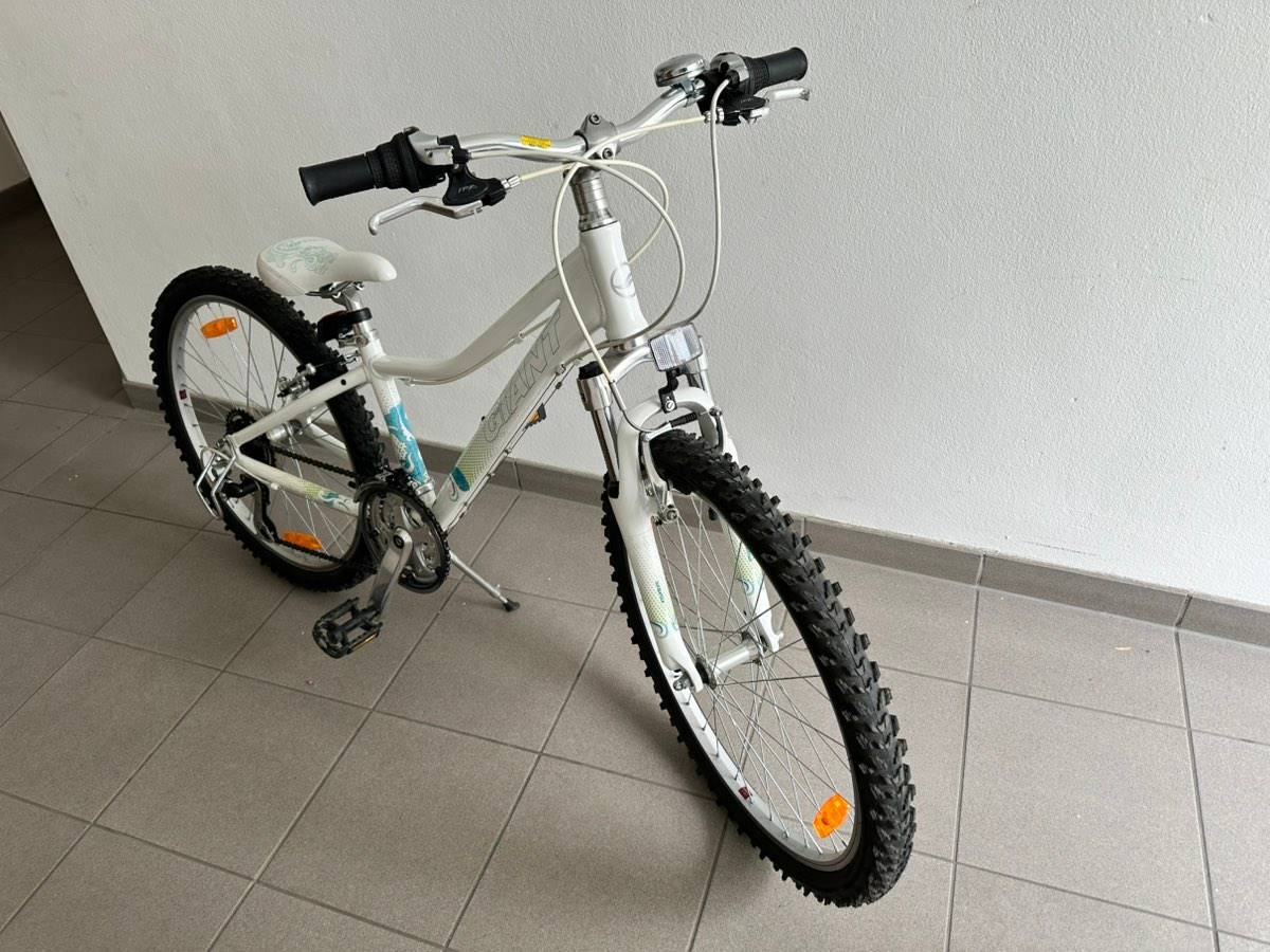 mountainbike kategorien 1-5 27,5 Zoll Herren MTB Mountainbike RTX 1 x 12s Shimano SRAM SX EAGLE, S