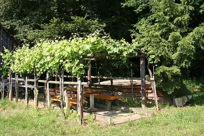 2-Zimmer-Haus mieten in Südoststeiermark – 65 m², € 750 – Bild 8 von 9