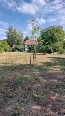 7-Zimmer-Haus kaufen in Bruck an der Leitha – 156 m², € 345.000 – Bild 6 von 29