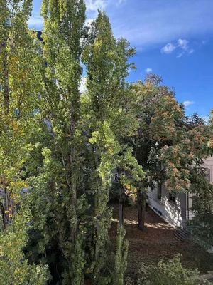 3-Zimmer-Wohnung kaufen in Wien – 77,96 m², € 295.000 – Bild 10 von 15