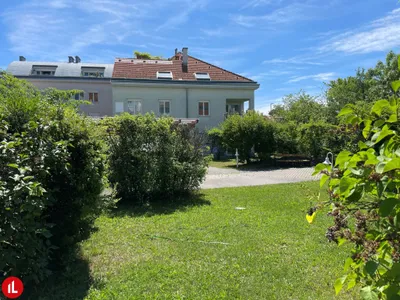 1-Zimmer-Gewerbeimmobilie mieten in Bruck an der Leitha – 29 m², € 595 – Bild 2 von 6