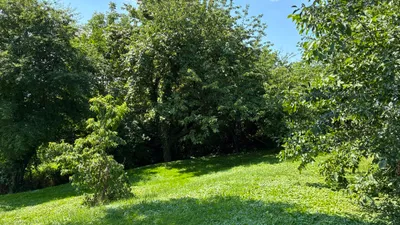 6-Zimmer-Immobilie kaufen in Südoststeiermark – 102 m², € 158.000 – Bild 24 von 25