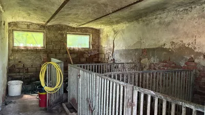 6-Zimmer-Immobilie kaufen in Südoststeiermark – 102 m², € 158.000 – Bild 15 von 25