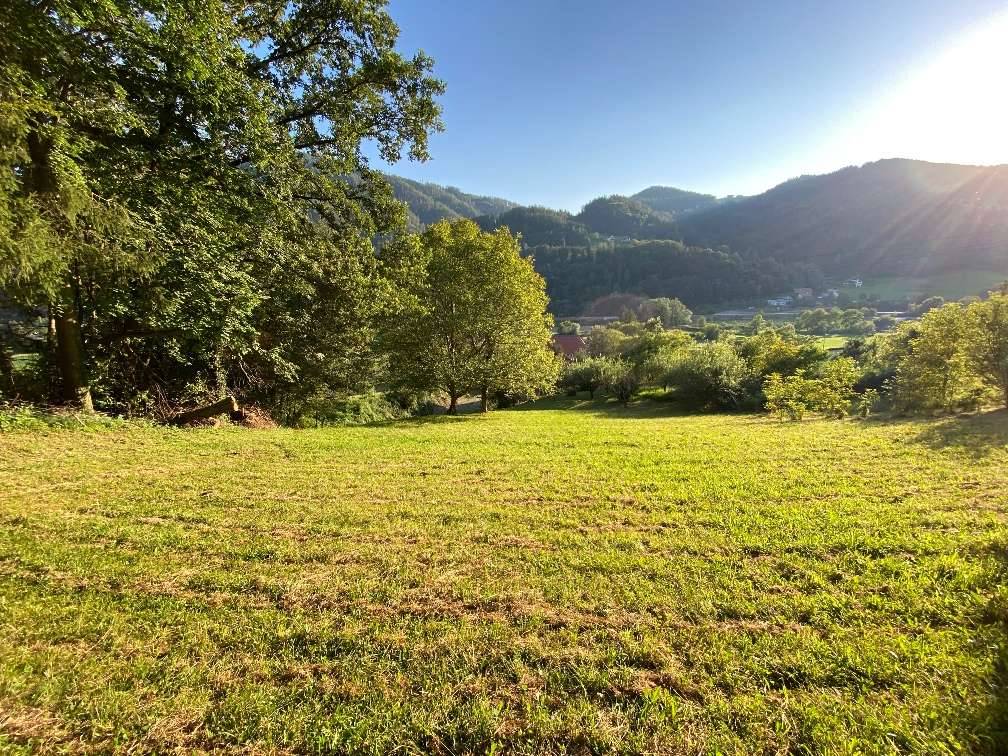 Liebevoll gepflegtes Gründstück, 2351 m², € 150.000,-, (8121 Prenning ...