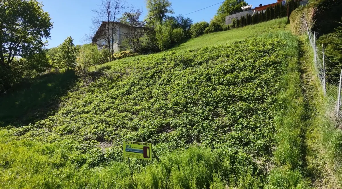 Das könnte ihre Aussicht sein - Widok 2
