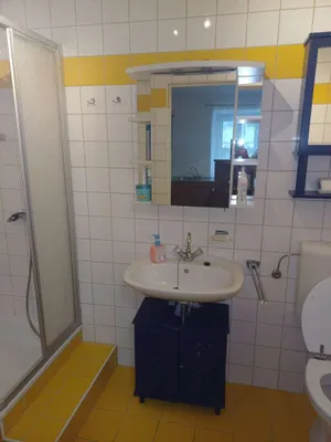 1-Zimmer-Wohnung mieten in Scheibbs – 33 m², € 255 – Bild 9 von 9