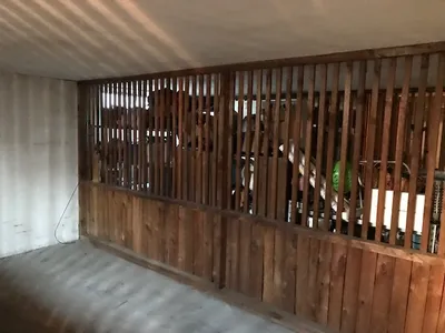 2-Zimmer-Wohnung mieten in Hartberg-Fürstenfeld – 56 m², € 660 – Bild 12 von 12
