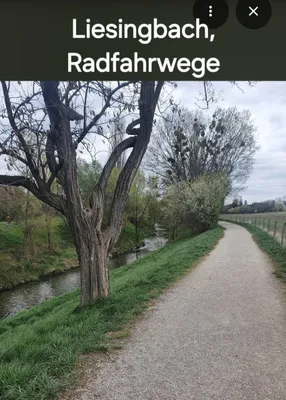 3-Zimmer-Wohnung mieten in Wien – 75 m², € 761 – Bild 29 von 33