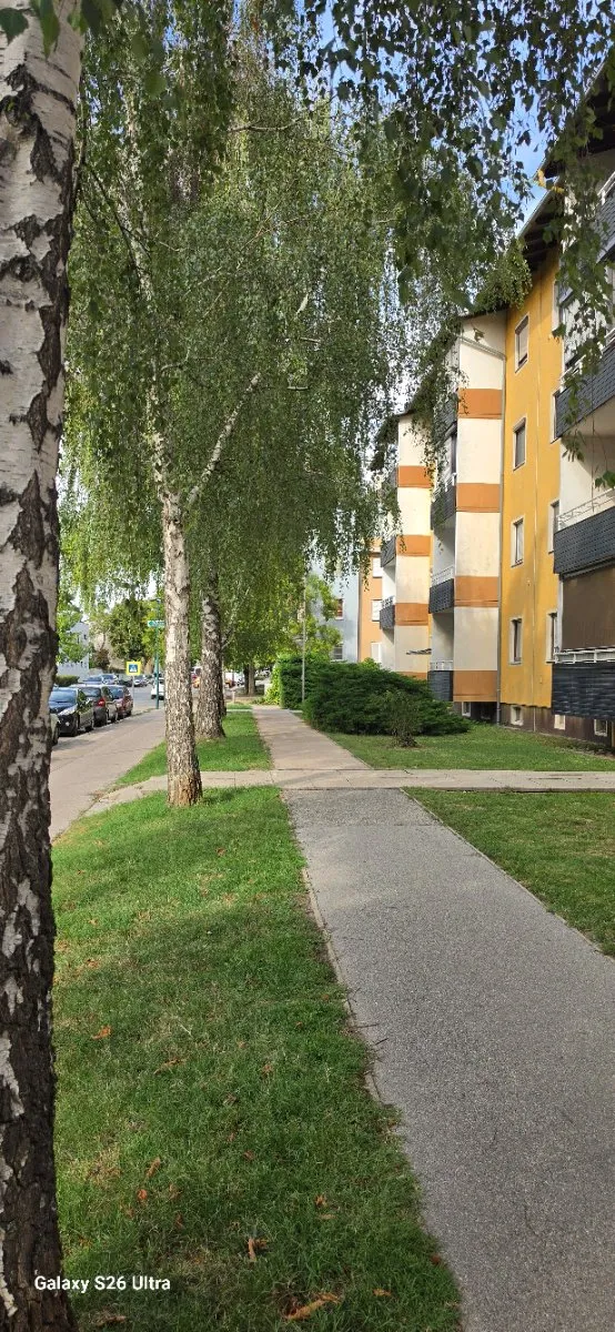 Wohnung – Groß-Enzersdorf - Ansicht 2