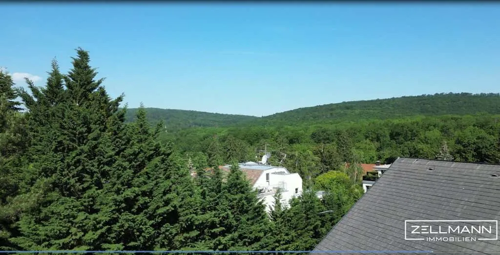 Familienhaus mit Ausbaumöglichkeit in Hietzinger Toplage | ZELLMANN IMMOBILIEN - Ansicht 2