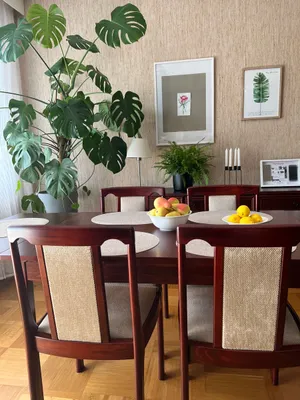 2-Zimmer-Wohnung mieten in Neunkirchen – 68 m², € 668