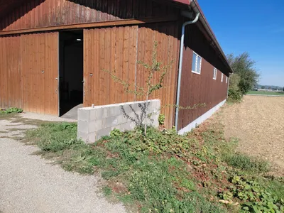 Immobilie mieten in Sankt Pölten Land – 100 m², € 530 – Bild 7 von 9
