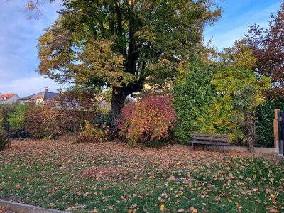 5-Zimmer-Haus mieten in Voitsberg – 112 m², € 980 – Bild 3 von 19