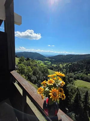 2-Zimmer-Wohnung kaufen in Feldkirchen – 48,9 m², € 155.000 – Bild 2 von 12