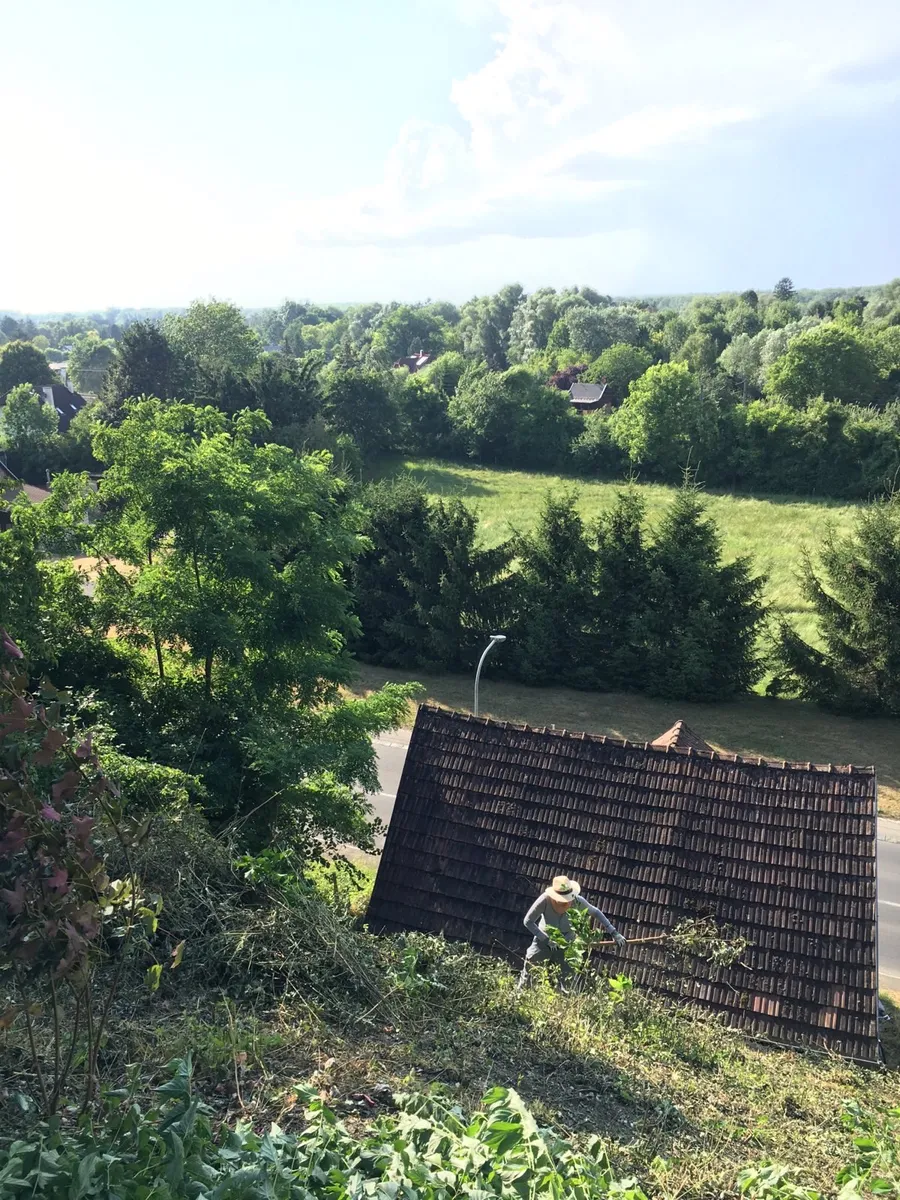 Weinkeller und altes Presshaus auf Bauland - Ansicht 2