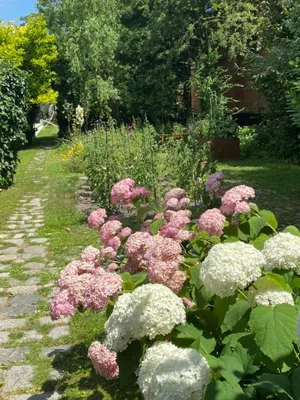 5-Zimmer-Haus kaufen in Neusiedl am See – 240 m², € 585.000 – Bild 17 von 17