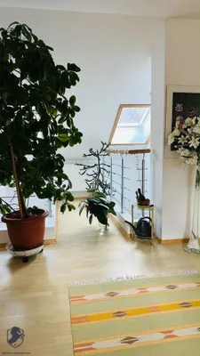 5-Zimmer-Haus kaufen in Bruck-Mürzzuschlag – 150 m², € 479.000 – Bild 11 von 48