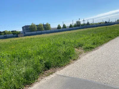 Grundstück kaufen in Leibnitz – 6 353 m² – Bild 3 von 5