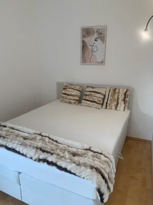 2-Zimmer-Wohnung kaufen in Graz – 50 m², € 129.000 – Bild 3 von 11