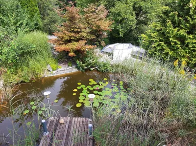 14-Zimmer-Haus kaufen in Klagenfurt Land – 495 m², € 394.000 – Bild 17 von 53