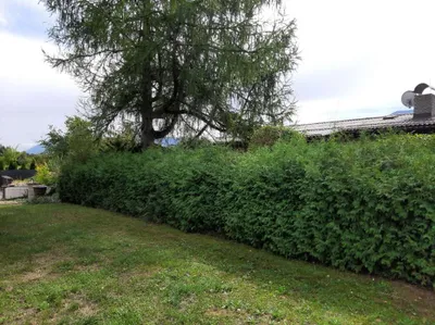 14-Zimmer-Haus kaufen in Klagenfurt Land – 495 m², € 394.000 – Bild 23 von 53