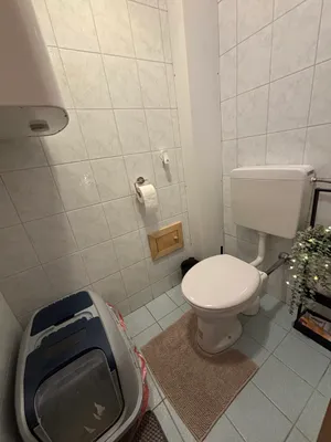 3-Zimmer-Wohnung mieten in Urfahr-Umgebung – 69 m², € 690 – Bild 5 von 11