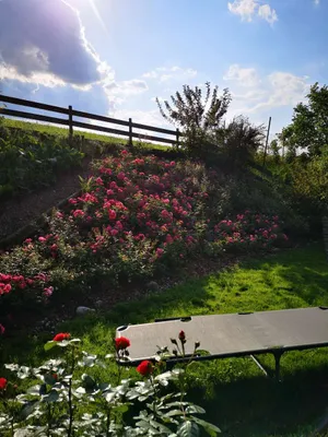 Wohnung kaufen in Steyr-Land – 23 m², € 39.000 – Bild 18 von 25