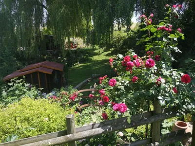 Wohnung kaufen in Steyr-Land – 23 m², € 39.000 – Bild 20 von 25