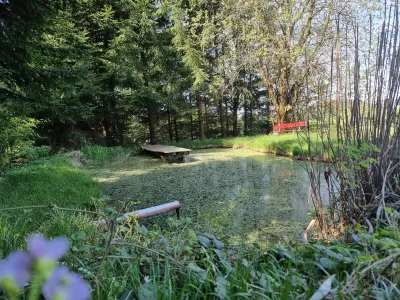 8-Zimmer-Haus kaufen in Rohrbach – 254 m², € 499.000 – Bild 14 von 15