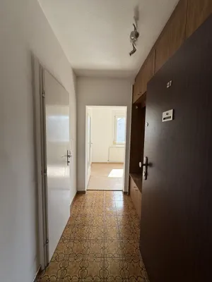 1-Zimmer-Wohnung mieten in Wien – 30,17 m², € 682 – Bild 4 von 8