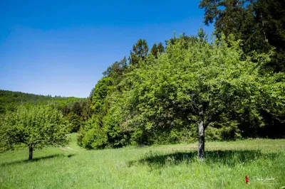3-Zimmer-Wohnung mieten in Graz-Umgebung – 115 m², € 1.575 – Bild 14 von 15