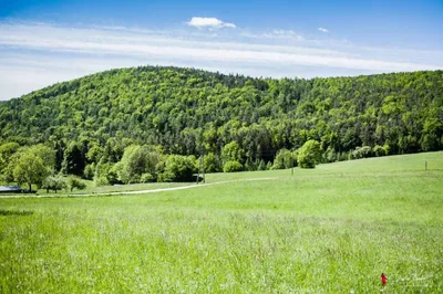 3-Zimmer-Wohnung mieten in Graz-Umgebung – 115 m², € 1.575 – Bild 15 von 15