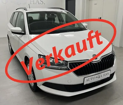 Skoda Fabia Ambition 1,0 TSI DSG *DAB+*Tempomat*