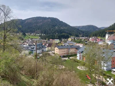 14-Zimmer-Haus kaufen in Scheibbs – 395 m² – Bild 67 von 69