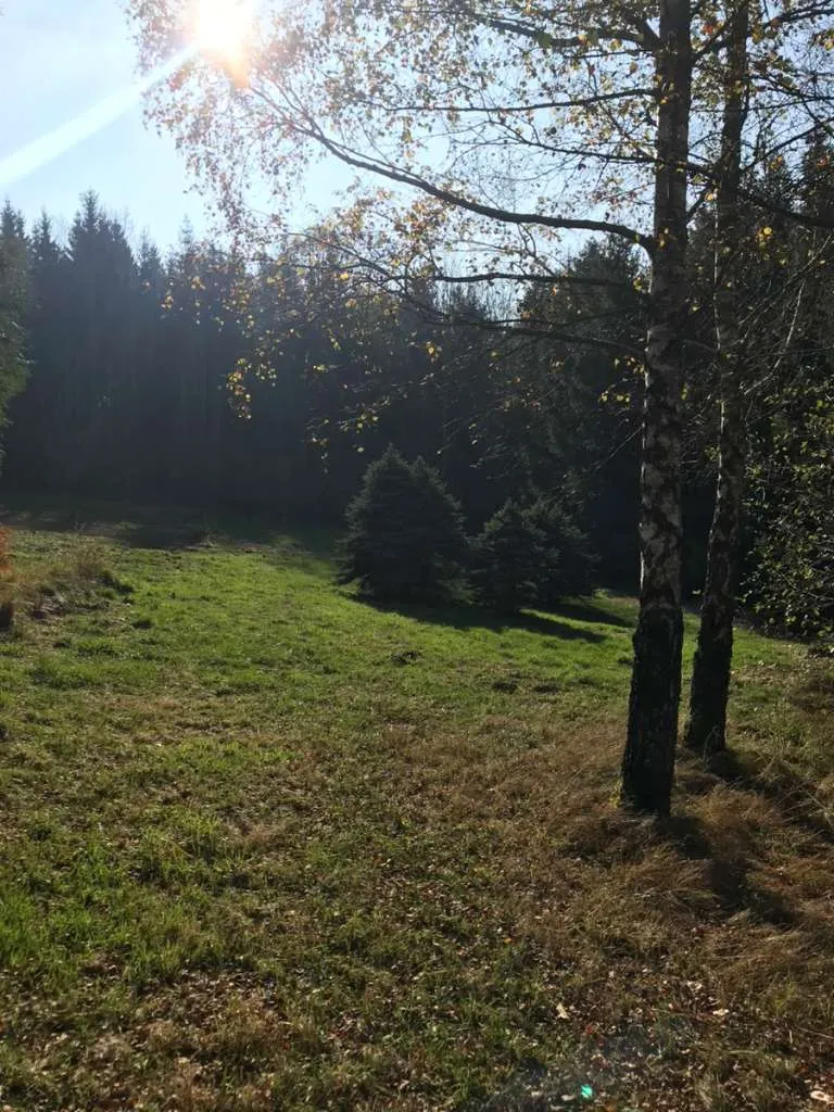 Idyllisches Grundstück mit Wald, Wiese, Teich, Bach und Geräteschuppen - Ansicht 3