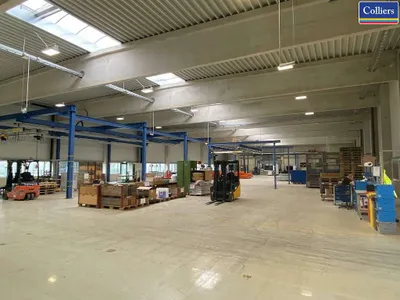 Immobilie mieten in Steyr – 1 560 m² – Bild 3 von 10