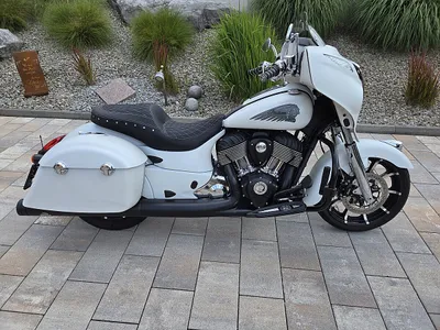 Indian Chieftain