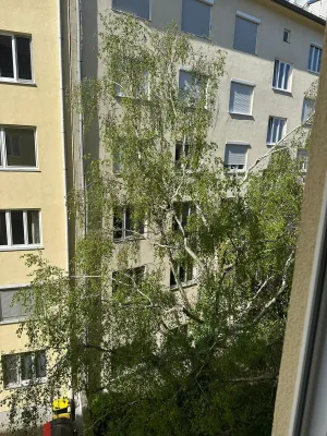 1-Zimmer-Wohnung mieten in Baden – 28 m², € 650 – Bild 2 von 12