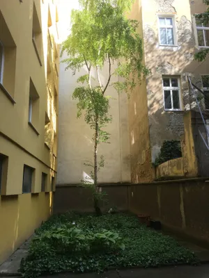 Wohnung kaufen in Wien – 52,52 m², € 226.000 – Bild 11 von 18