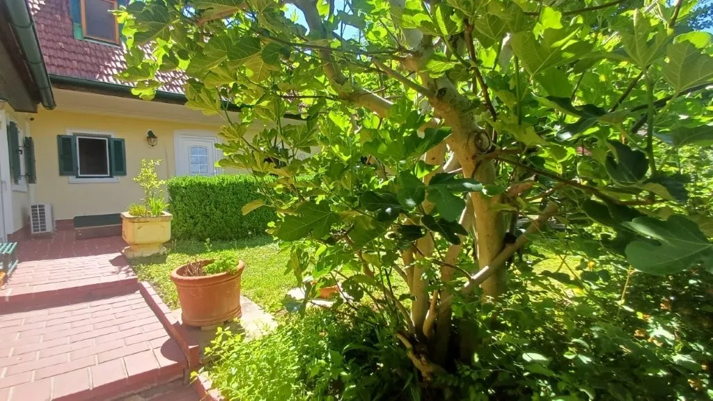 Haus – Neuhaus am Klausenbach, Katastralgemeinde Neuhaus am Klausenbach - Ansicht 3