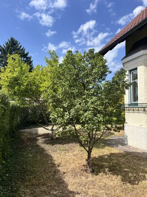 6-Zimmer-Immobilie mieten in Salzburg Stadt – 165 m², € 4.000 – Bild 41 von 47