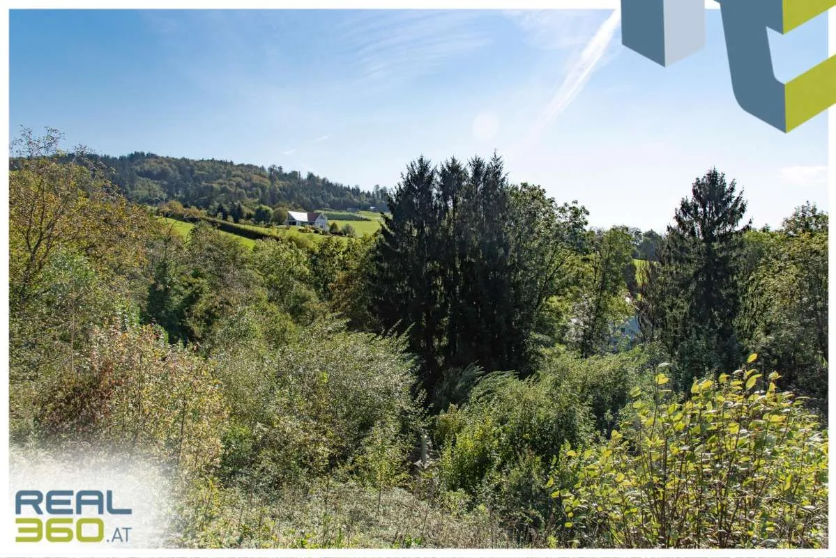 Idyllisches Hanggrundstück mit grandioser Aussicht in Stadtnähe! - Ansicht 2